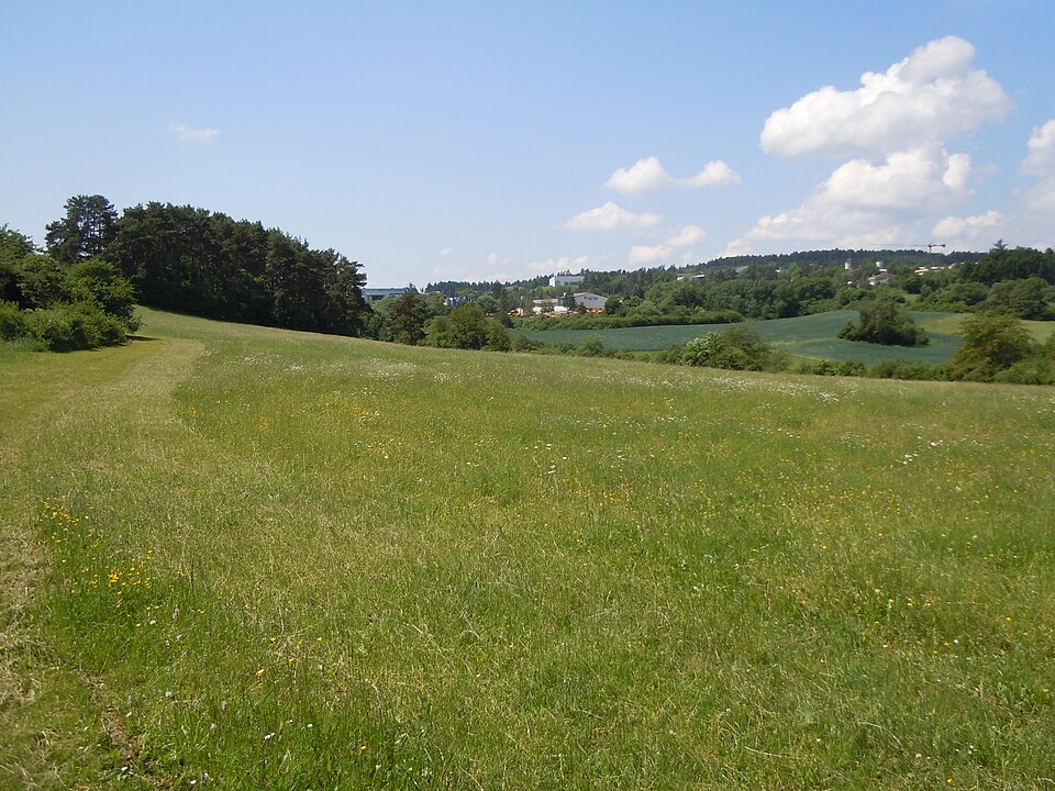 Umzug von Haiterbach nach Zypern per Container: NSG Haiterbacher Heckengaeu – Foto: Friedi13, CC0, via Wikimedia Commons Umzug von Haiterbach nach Zypern per Container: NSG Haiterbacher Heckengaeu