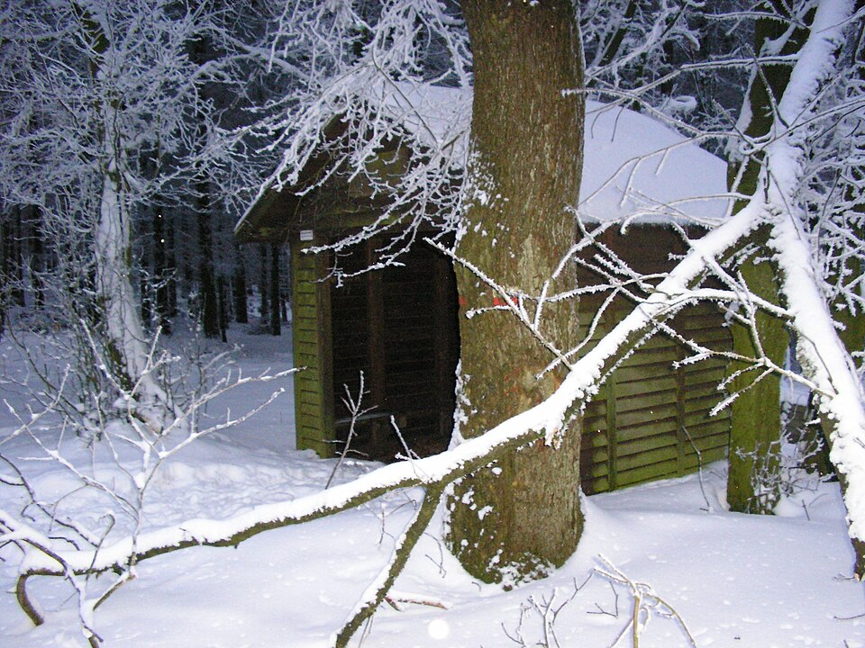 Umzug von Hüllhorst nach Zypern per Palette: Falk Oberdorf Heidbrinkhütte in Hüllhorst