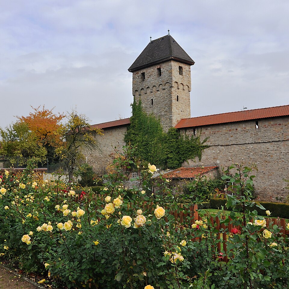 Umzug von Kirchheimbolanden nach Zypern per Container: Stadtansicht Kirchheimbolanden – Foto: Mussklprozz, CC BY-SA 3.0, via Wikimedia Commons Umzug von Kirchheimbolanden nach Zypern per Container: Stadtansicht Kirchheimbolanden