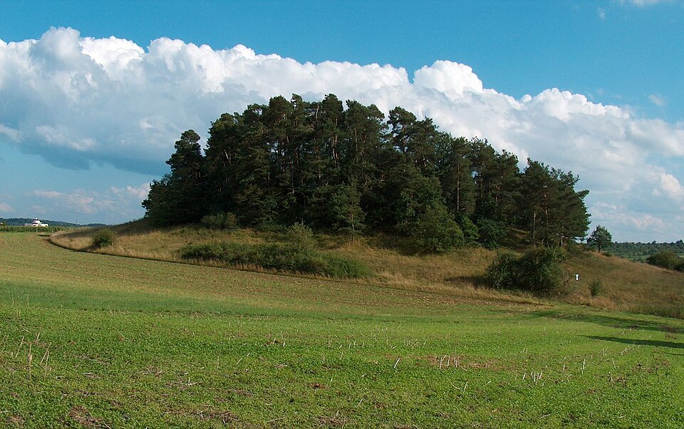 Umzug von Magstadt nach Zypern per Palette: Magstadt Ratberg – Foto: User:MarkusHagenlocher, CC BY-SA 3.0, via Wikimedia Commons Umzug von Magstadt nach Zypern per Palette: Magstadt Ratberg