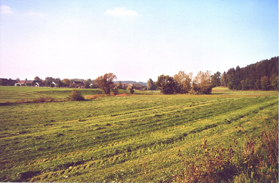 Umzug von Pfaffenhofen an der Roth nach Zypern per Container: Raunertshofen Bibertal in Pfaffenhofen an der Roth