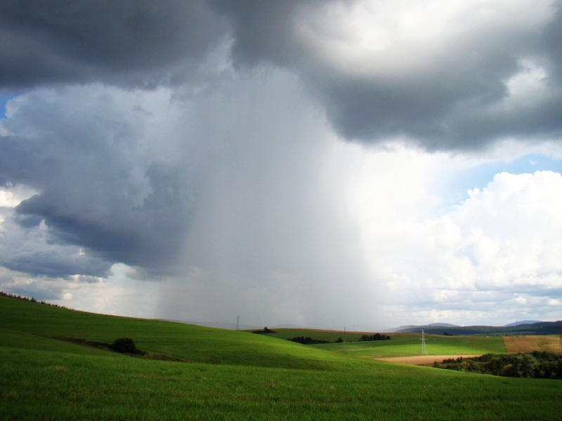 Umzug von Regen nach Zypern per Container: Bukowsko (powiat sanocki) in Regen