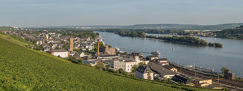 Umzug von Rüdesheim am Rhein nach Zypern per Palette: Panoramic View of Rüdesheim am Rhein