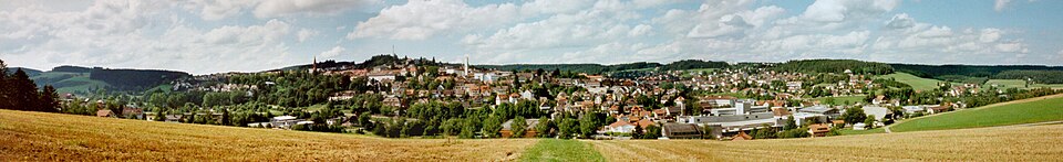 Umzug von Sankt Georgen im Schwarzwald nach Zypern per Container: Panorama in Sankt Georgen im Schwarzwald