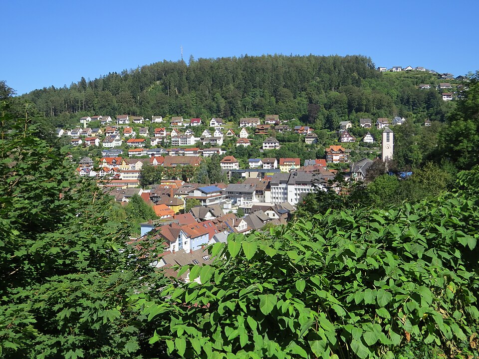Umzug von Triberg nach Zypern per Container: Triberg, VS, Wallfahrtstr, Triberg v W