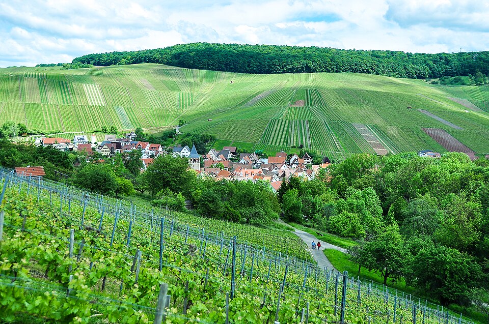 Umzug von Weinstadt nach Zypern per Container: Weinberge um Strümpfelbach in Weinstadt